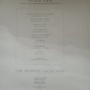 Allen Lee portfolio 625 from 750